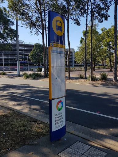 Edwin Flack Ave opp Accor Stadium - Thumbnail