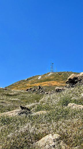 Box Springs Mountain Reserve - Thumbnail