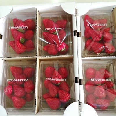 尾崎ストロベリーファーム(尾崎農園)