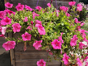 Photo n°7 de La Rose des Vents à Les Vastres (Chambre d'hôtes)