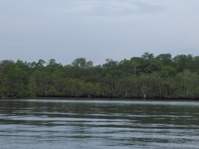 Photos of Playa Colibri