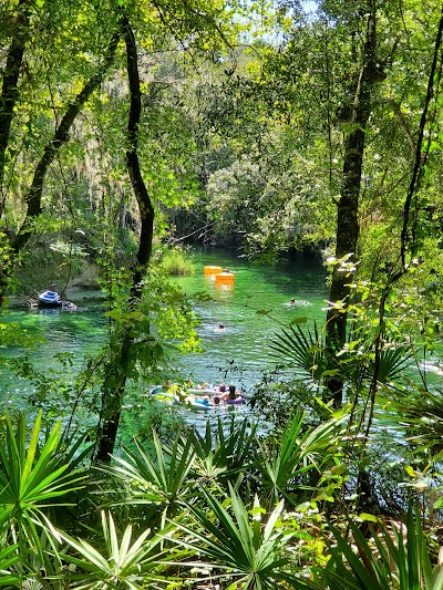 Blue spring state park