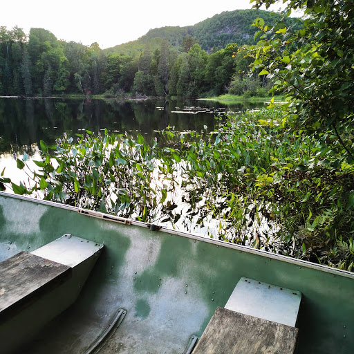 Camping Domaine des Cèdres - Thumbnail