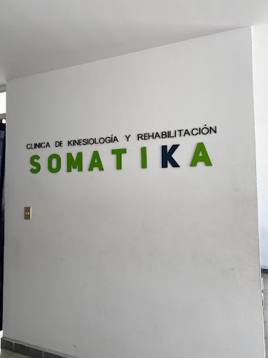 Somatika - Visual