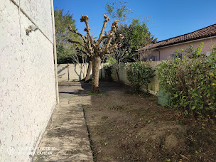 Photo n°14 de Tiffon Laurent à Villenave-d'Ornon (Jardinier)