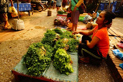 Photos of Morning food market