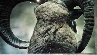 Photos of Galerie August