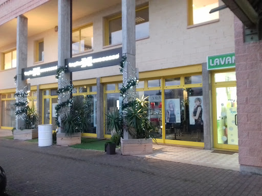 Lavanderia Maxima - Visual