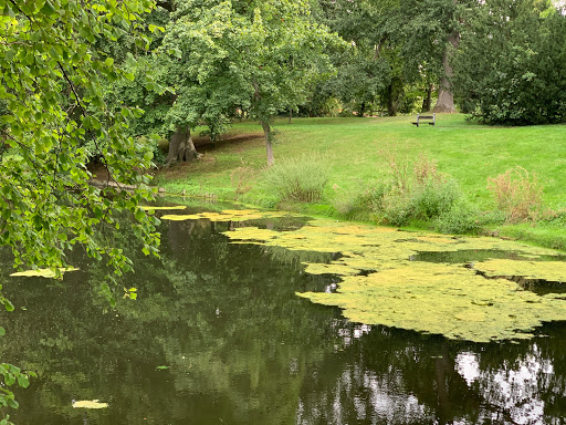 Stadtpark Blumenwall - Thumbnail