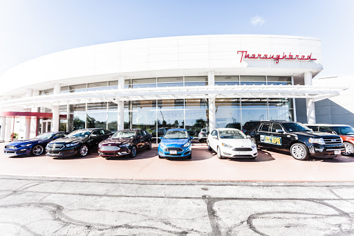 Thoroughbred Ford - Visual