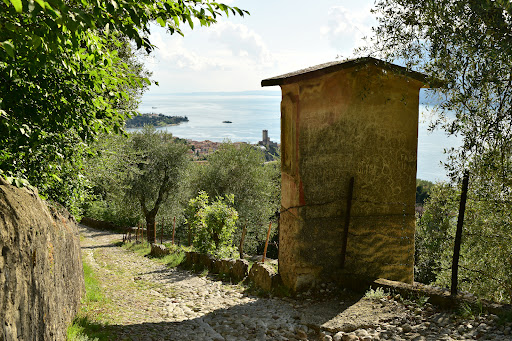 Lavacco - Visual