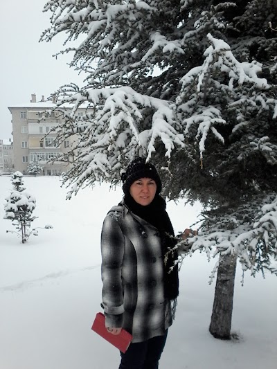 Photos of &Ouml;zbelde Parkı