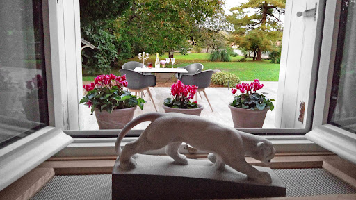 Photo de Hôtel Saint-Martin - La Maison Younan à Saint-Martin-de-Saint-Maixent (79400)