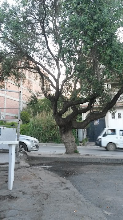 Photos of Caf&eacute;t&eacute;ria Zeytouna Zonka
