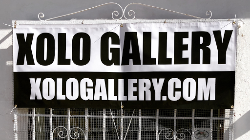 Xolo Gallery - Visual
