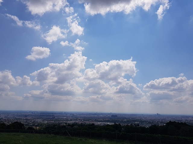 Bellevuewiese