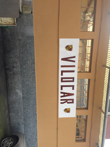 Vilocar - Visual