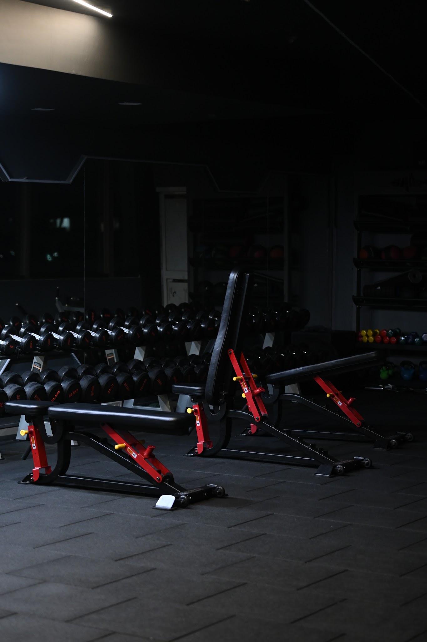 Shark Fitness photo 5