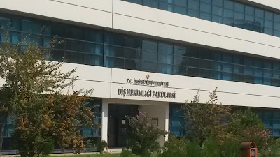 university