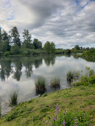 Delta Ponds - Visual