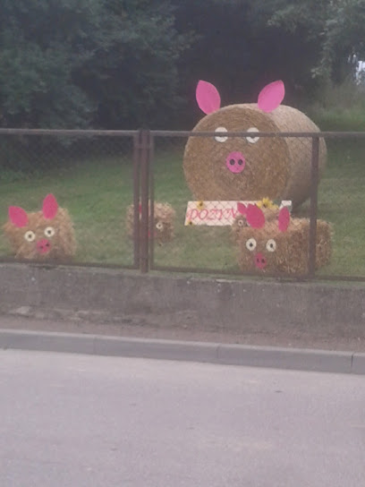 Auto Szał - Mechanika Pojazdowa Adam Szałkowski