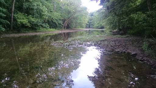 Ruffner Park - Visual