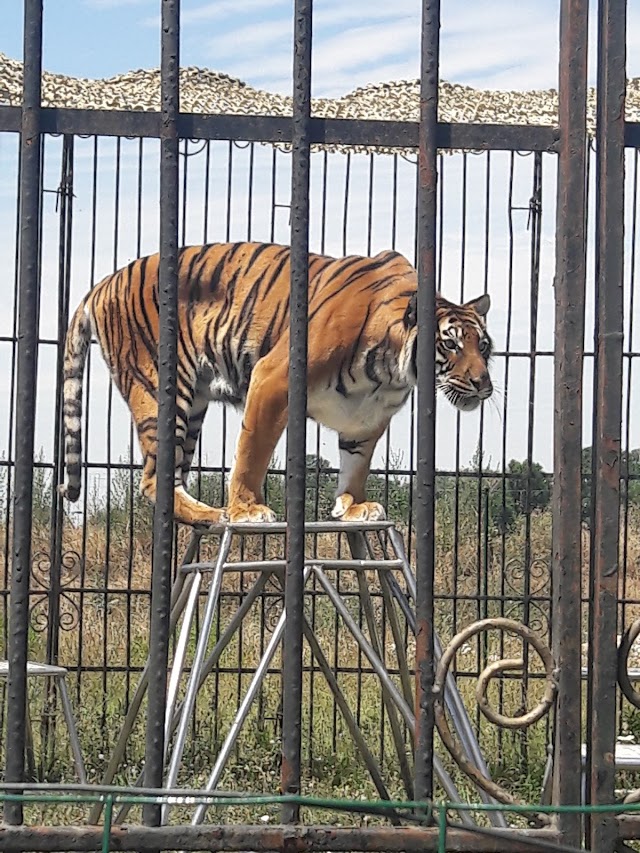 Association roaar et parc animalier de la sainte victoire