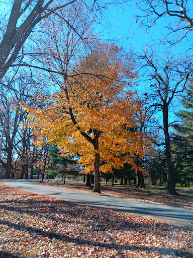 Sisters of Providence of Saint Mary-of-the-Woods, Indiana Gallery - United States