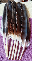 Photo n°25 de Chamane Guérisseuse - Sandra Gayraud - Occitanie à Castelnau-Magnoac (Praticien de médecine alternative)