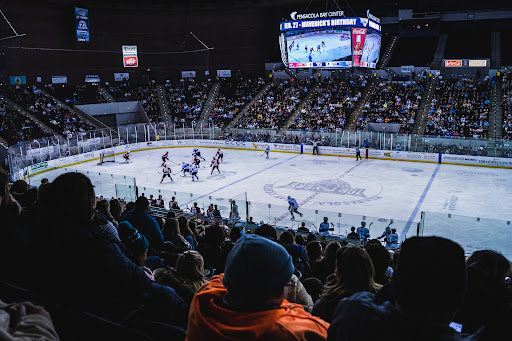 Pensacola Ice Flyers Logo
