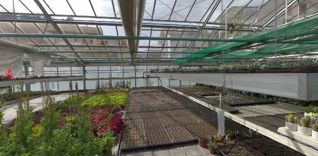 H. Gosteli AG - Gartenbauer