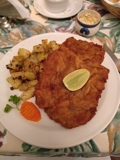 Photos of Vienna