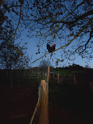 Photo n°6 de La Ferme du Jambosc à Campouriez (Ferme bio)