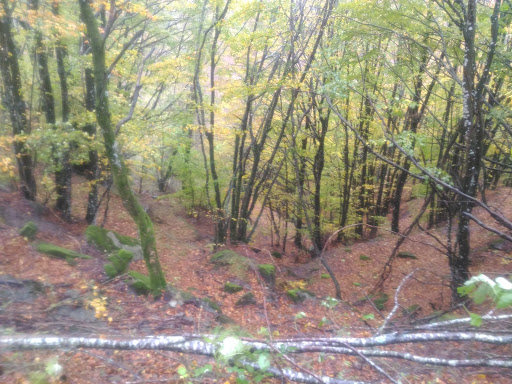 Campo Scout I Diacci - Thumbnail