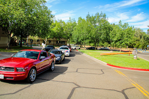 Healdsburg Community Services Department - Thumbnail
