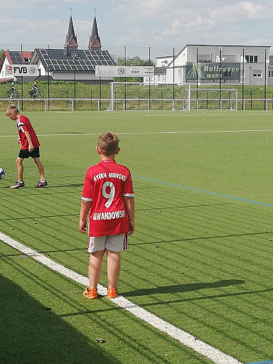 Pfaffenaustadion - Thumbnail