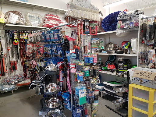 Dog Space - Visual