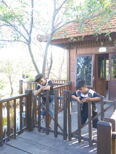 Photos of Jogging Track Taman Mangrove Wonorejo