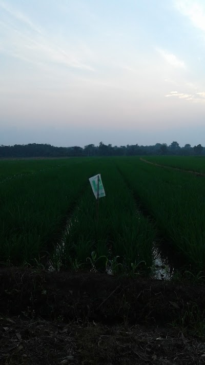 Photos of Gapura Gajah