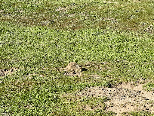 Sierra Vista Open Space Preserve Parking - Thumbnail