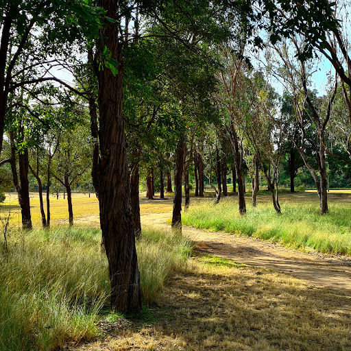 Bunyarra Drive Reserve - Thumbnail