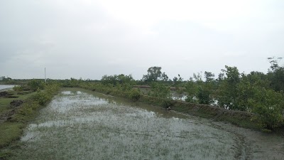 Photos of Maidara, Digraj, Mongla, Bagerhat