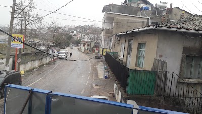Photos of 41 Market
