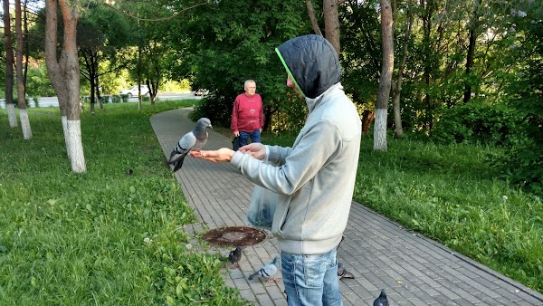 Погода на неделю жуков калужская