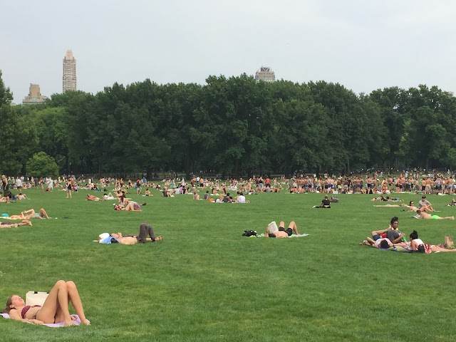 Sheep Meadow