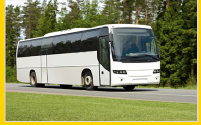 Bus n Limo - Thumbnail