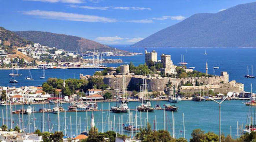 Sevi Denizcilik Turizm ve Tic. Ltd. Şti.