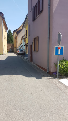 Skills Plurielles
