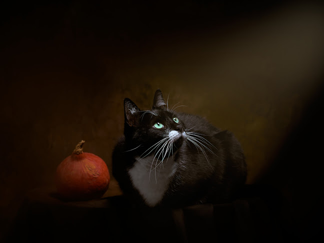 Trait Portraits - Photographe - Photographe
