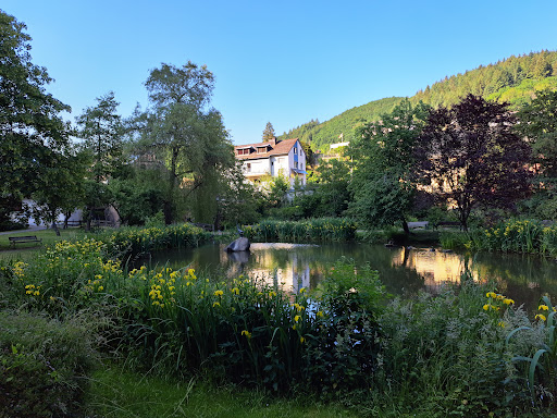 Neuerburg Park - Thumbnail